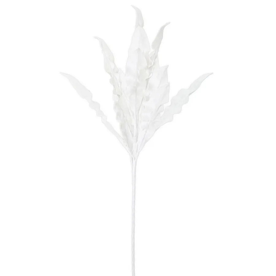 ALOE BIANCO 30X98 cm MIN 10